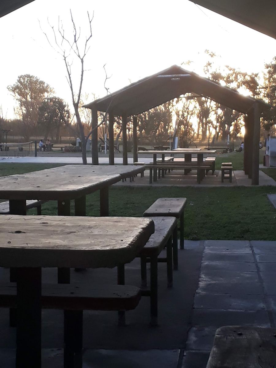 Quincho con mesas de madera rodeado de árboles